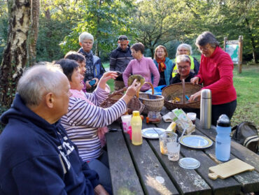 Cueillette de champignons pour 